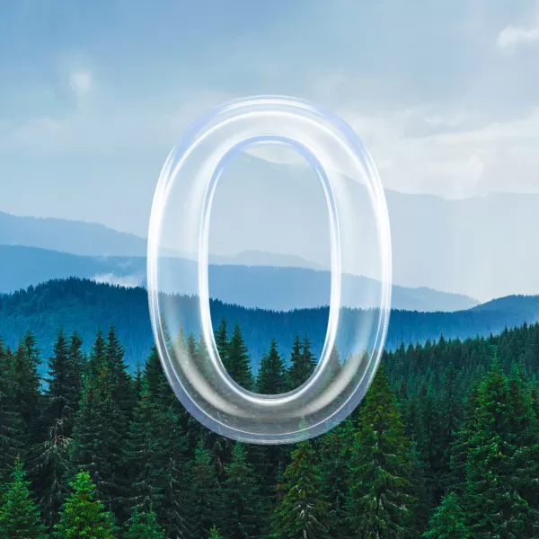 ZeRoll, Rolling Out New Standards