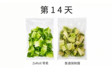14-Day Freshness Test: ZeRoll® vs Conventional Cling Film | Keeping Lettuce Fresh Longer
