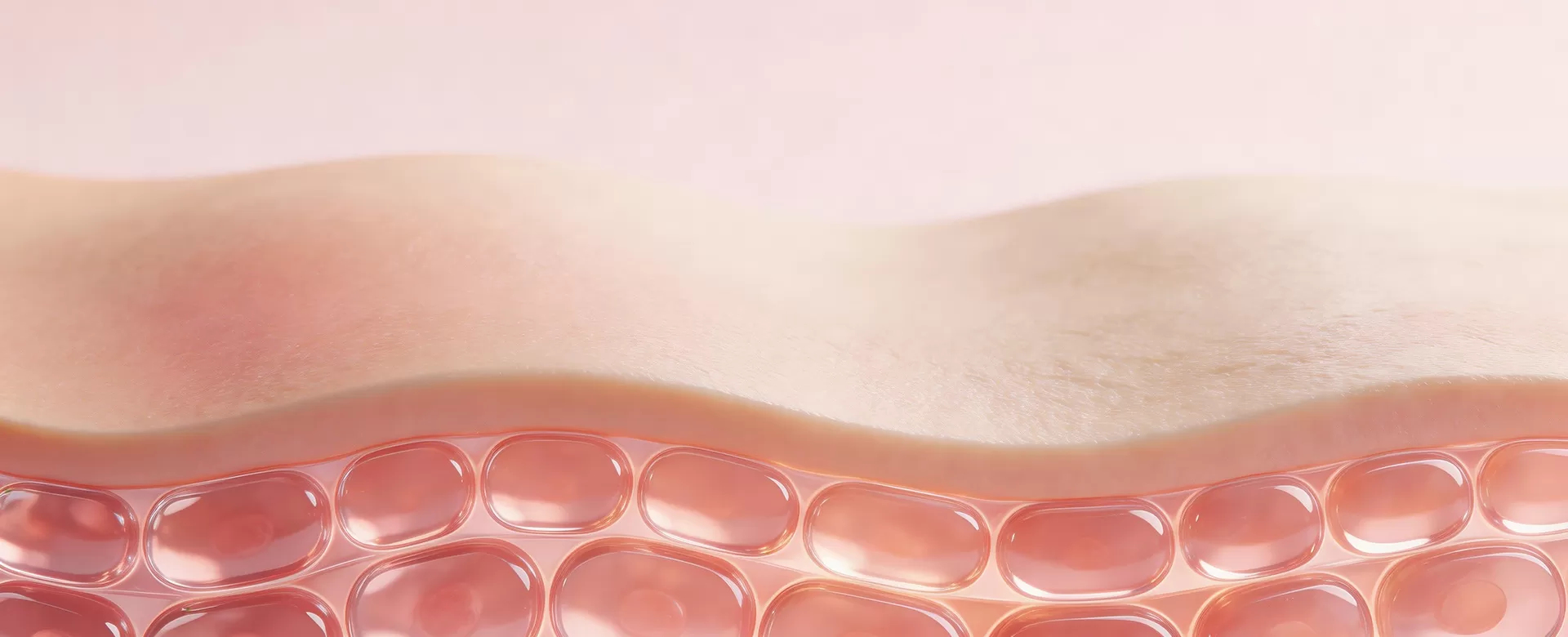 Activates Collagen, With 7 Times the Potency of Boswellic Acid
