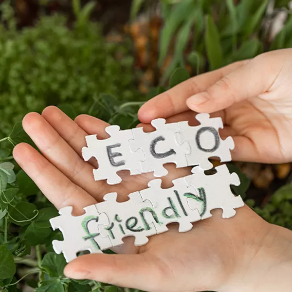 Eco-Friendly Materials in SYNLIFE®  Bio-Based Toys