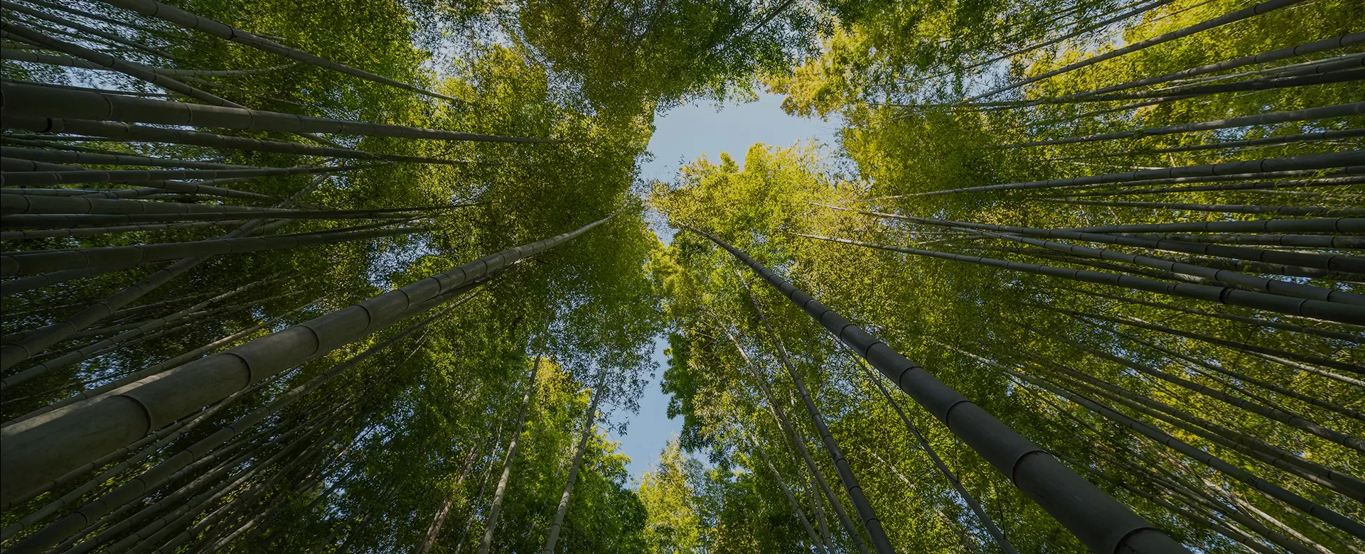 Sustainability