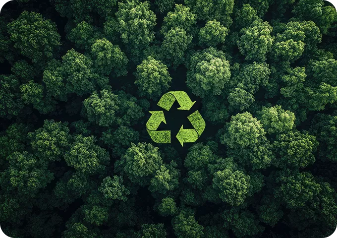 Circular Economy