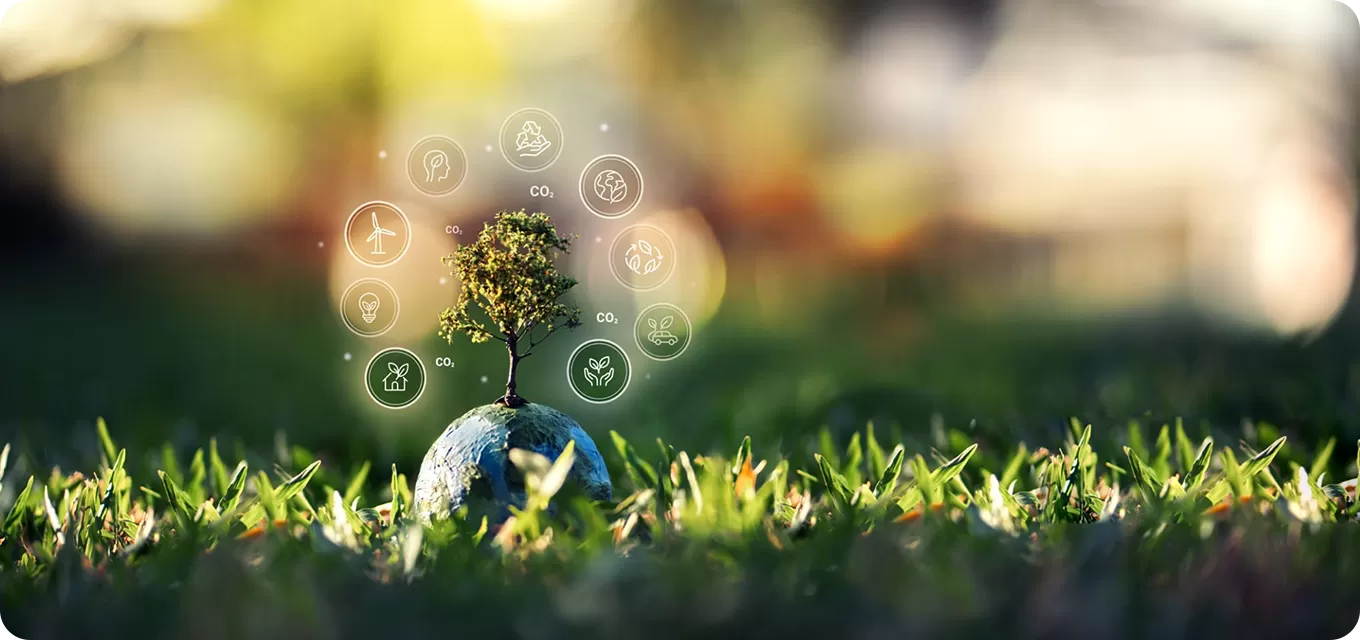 Our Vision for Sustainability