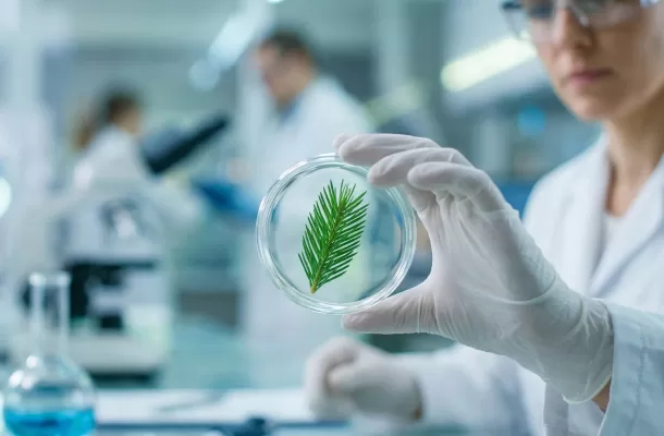 The Second-Generation Disruption: SYNLIFE Technology's ''Negative Carbon'' Manifesto