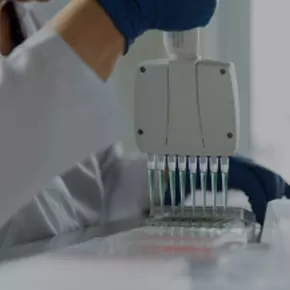 Synthesizing High-Performance Bio-based Materials Within Cells
