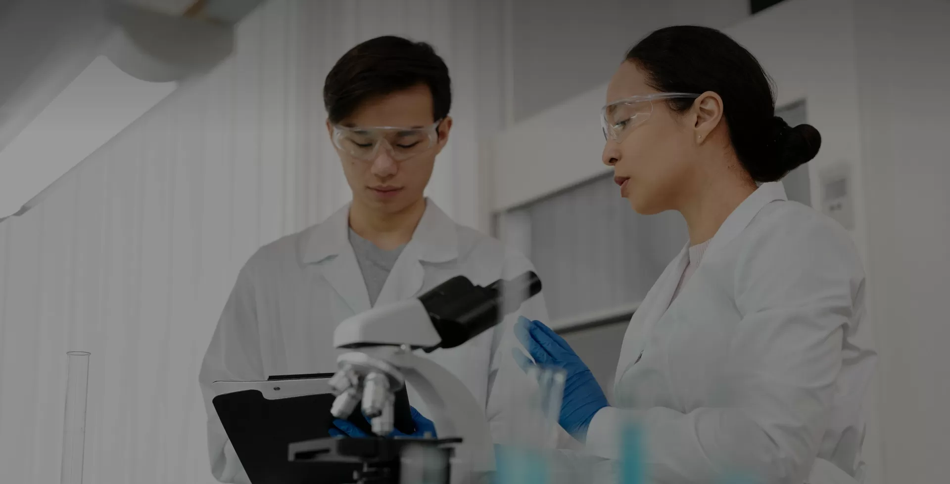 Material Evaluation System