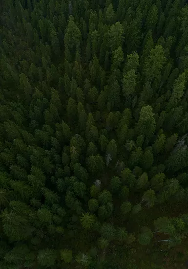 Fully Biodegradable, Returning to Nature