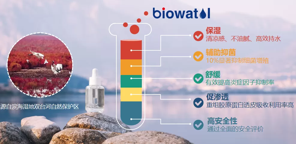 Created by Life, Harmonized with Life: Pioneers in Growing Materials from Biology Created by Life, Harmonized with Life: Pioneers in Growing Materials from Biology