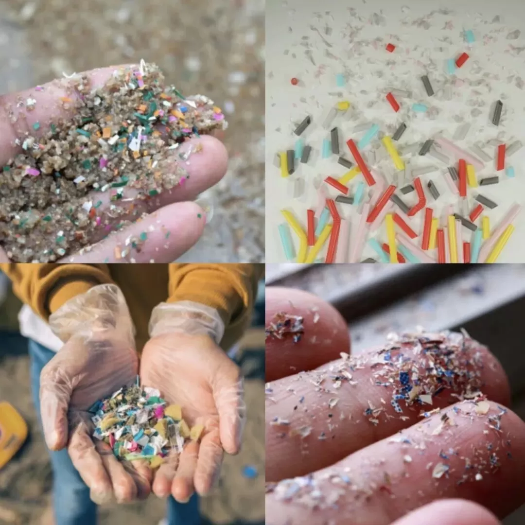 From Tianshui's Lead Poisoning to Plasticizers: How Can We Protect Our Children's Health?