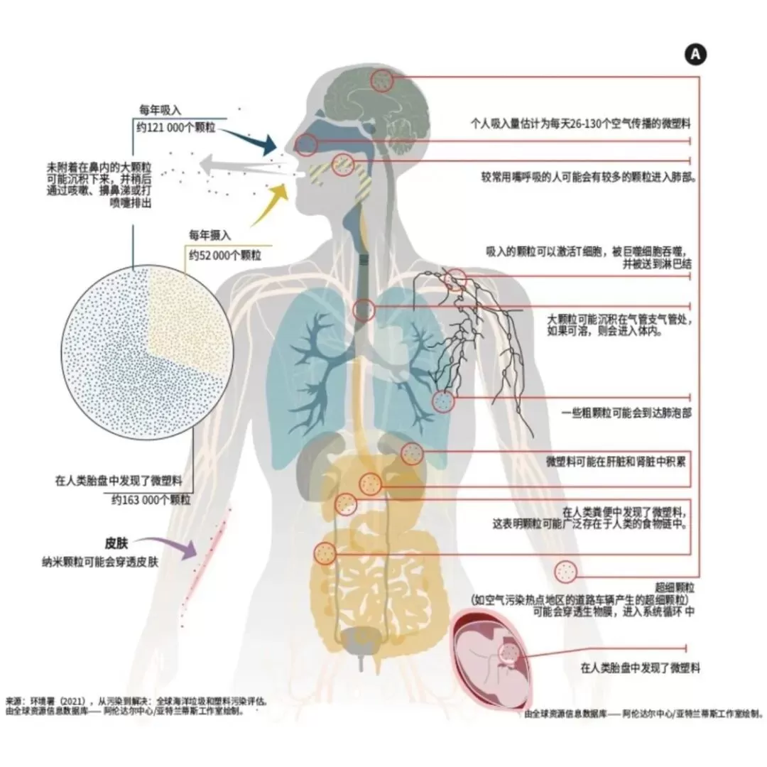 From Tianshui's Lead Poisoning to Plasticizers: How Can We Protect Our Children's Health?